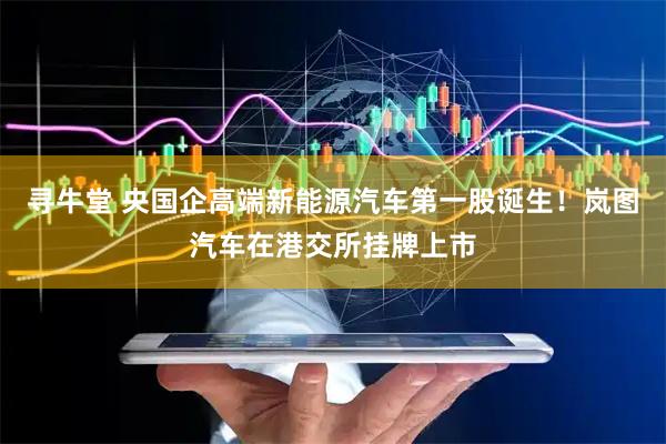寻牛堂 央国企高端新能源汽车第一股诞生！岚图汽车在港交所挂牌上市