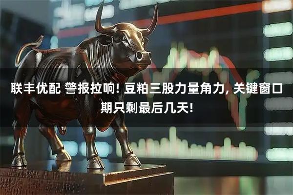 联丰优配 警报拉响! 豆粕三股力量角力, 关键窗口期只剩最后几天!