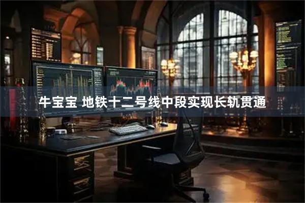 牛宝宝 地铁十二号线中段实现长轨贯通