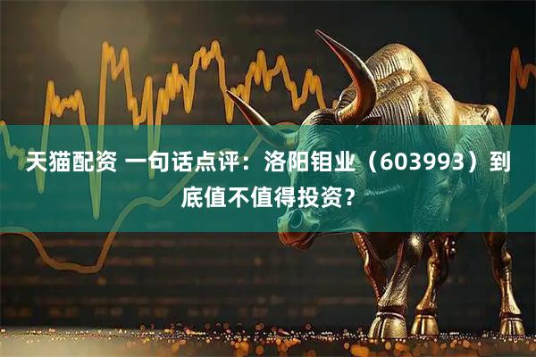 天猫配资 一句话点评：洛阳钼业（603993）到底值不值得投资？