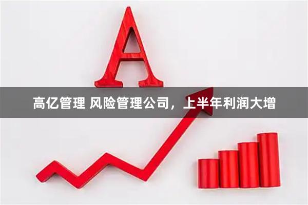 高亿管理 风险管理公司，上半年利润大增