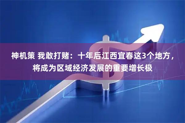 神机策 我敢打赌：十年后江西宜春这3个地方，将成为区域经济发展的重要增长极