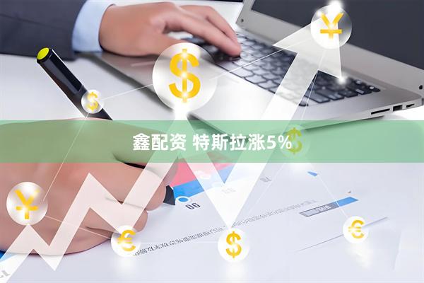 鑫配资 特斯拉涨5%