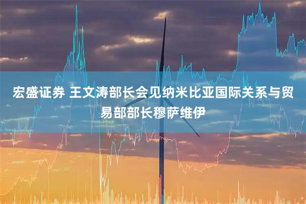 宏盛证券 王文涛部长会见纳米比亚国际关系与贸易部部长穆萨维伊
