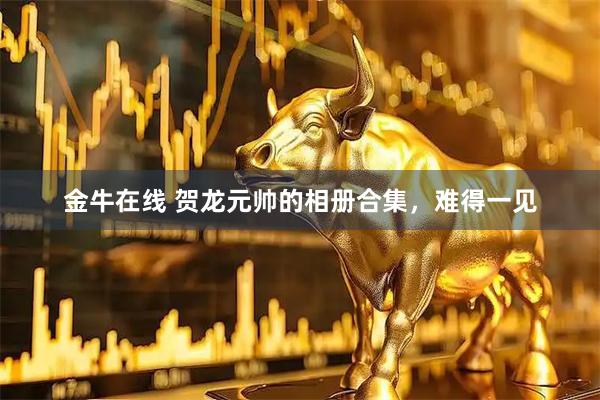 金牛在线 贺龙元帅的相册合集，难得一见