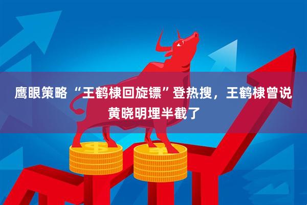 鹰眼策略 “王鹤棣回旋镖”登热搜，王鹤棣曾说黄晓明埋半截了