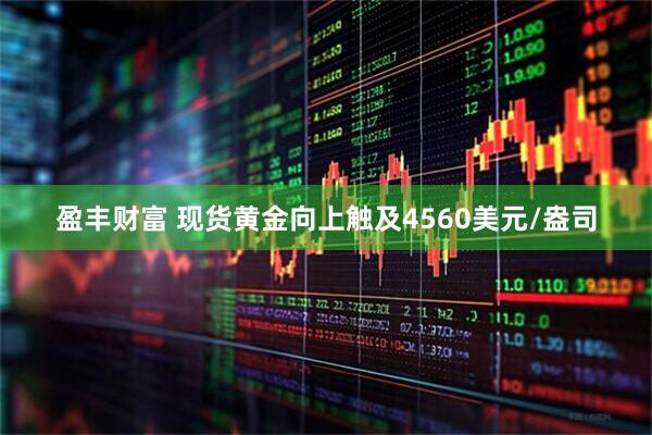 盈丰财富 现货黄金向上触及4560美元/盎司