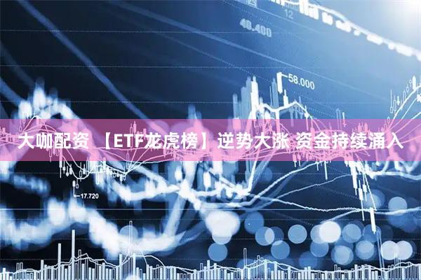 大咖配资 【ETF龙虎榜】逆势大涨 资金持续涌入