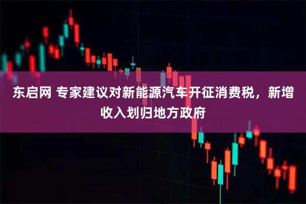 东启网 专家建议对新能源汽车开征消费税，新增收入划归地方政府